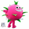 Dragon Fruit Mascot Costume