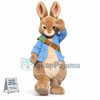 Superb Realistic Peter Rabbit Mascot Costume