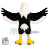 Bald Eagle Mascot Costume
