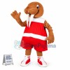 Custom Mascot Walrus Mascot Costume