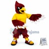 Bird Cardinal Mascot Costume