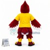 Bird Cardinal Mascot Costume