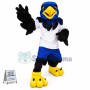 Blue Hawk Mascot Costume