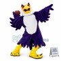 University Purple Eagle Mascot Costume