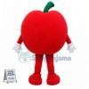Custom Mascot Apple Mascot Costume
