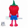 Custom Mascot Strawberry Mascot Costume