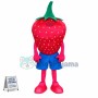 Custom Mascot Strawberry Mascot Costume