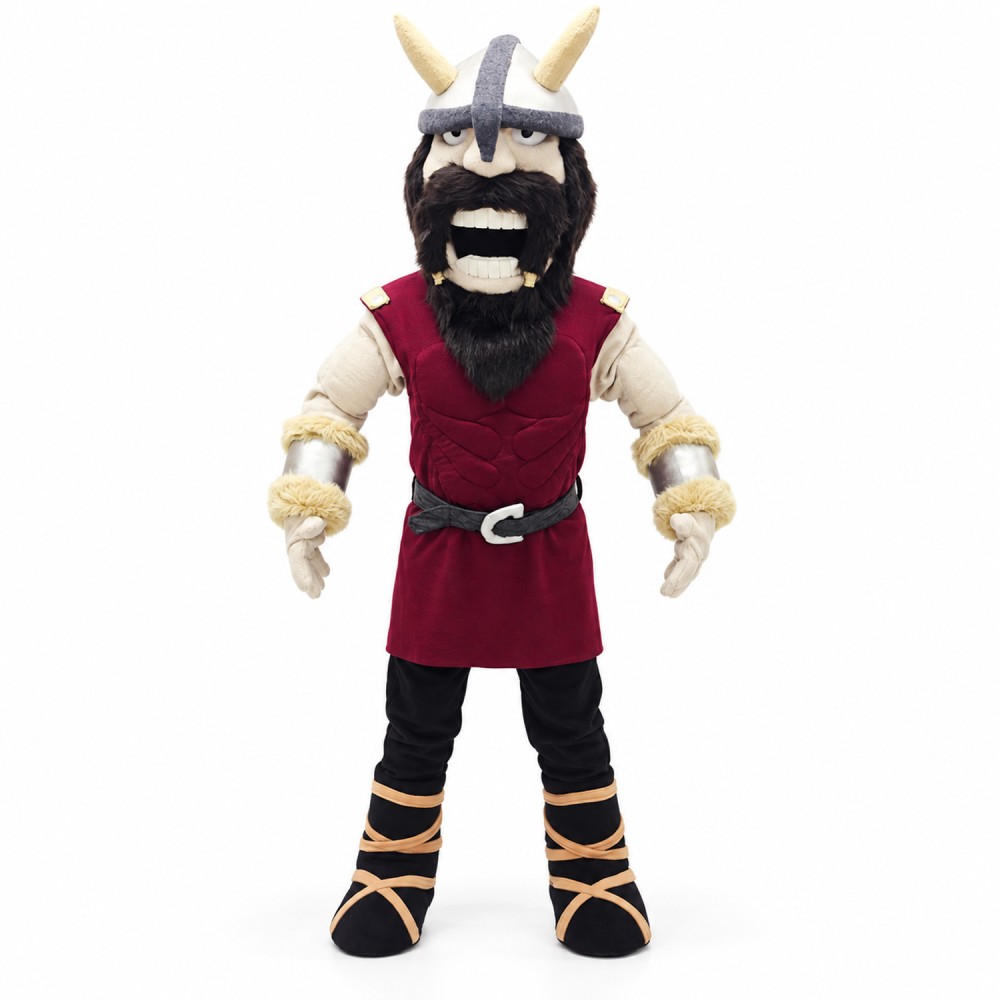 High School Viking Mascot Costume