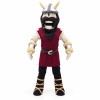 High School Viking Mascot Costume
