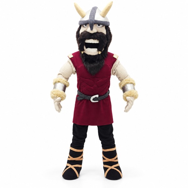 High School Viking Mascot Costume