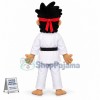karate Kid Mascot Costume