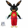 Bing Black Rabbit Mascot Costume