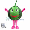 Thin-skinned Watermelon Mascot Costume
