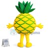 Ripe Pineapple Mascot Costume For Adult