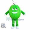 Emerald Watermelon Cartoon Mascot Costume