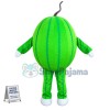 Emerald Watermelon Cartoon Mascot Costume