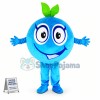 Big Eyes Cartoon Blueberry Mascot Costume