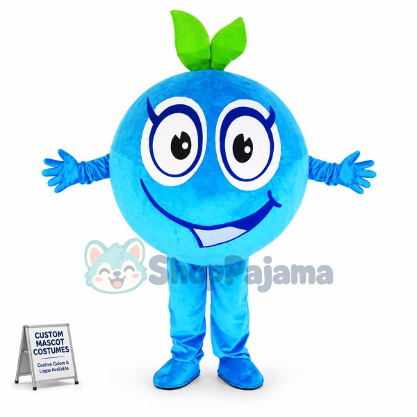 Big Eyes Cartoon Blueberry Mascot Costume