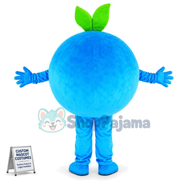 Big Eyes Cartoon Blueberry Mascot Costume