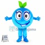 Big Eyes Cartoon Blueberry Mascot Costume