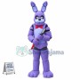 Five Nights At Freddys Mascot Costume