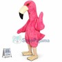 Rare Pink Ostrich Mascot Costume