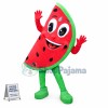 Sweet Piece Of Watermelon Mascot Costume