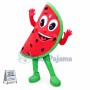 Sweet Piece Of Watermelon Mascot Costume