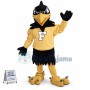 Black Power Falcon In The Hoodie Mascot Costume
