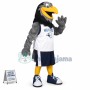 College Sport Grey Eagle Mascot Costume