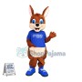 The Kind Kangaroo Of The Childrens Hospital Mascot Costume