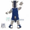 Unrestrained Academic Horse Mascot Costume For College