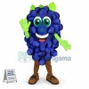 Bunch of Vibrant Blue Grapes Mascot Costume