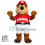 Coach Bear Of The School Team Mascot Costume