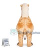 Calm Desert Camel Mascot Costume