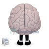 Brain Model Adult Cartoon Mascot Costume