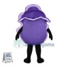 Peeled Purple Onion Cartoon Mascot Costume