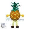 Freshly Picked Big Pineapple Mascot Costume