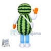 Assembled Watermelon Doll Mascot Costume