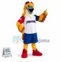 Adult Size Falcon of The Team Mascot Costume