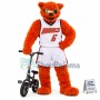 Sunglasses Tiger Riding Folding Bike Mascot Costume