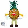 Freshly Picked Big Pineapple Mascot Costume