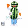 Assembled Watermelon Doll Mascot Costume