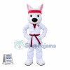 Taekwondo Black Belt Powerful Dog Mascot Costume