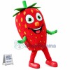 Big Fresh Cartoon Strawberry Mascot Costume