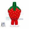 Deluxe Cartoon Strawberry Lightweight Mascot Adult Costume