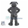 Lovely Grey Wolfhound Pup School Mascot Costume 
