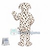 Beautiful Dalmatian Mascot Costume 