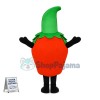 Lightweight Cartoon Red Delicious Apple Mascot Adult Costume	