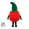 Deluxe Cartoon Fresh Tomato Lightweight Mascot Costume 	
